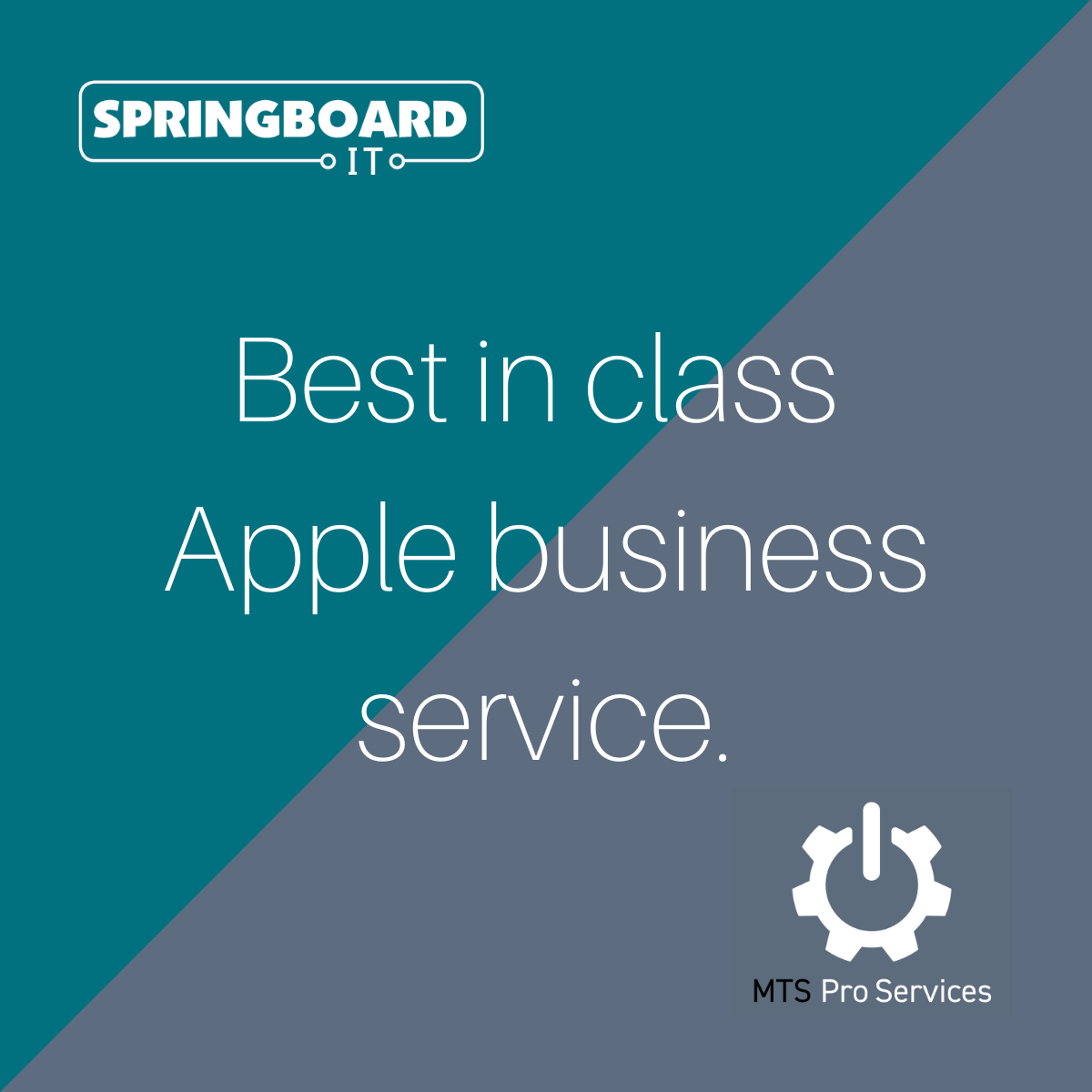 Springboard IT joins forces with MTS Pro Services